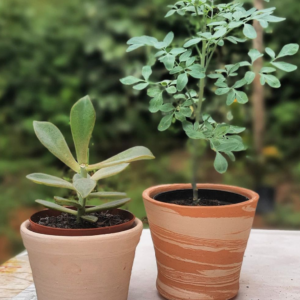 Cache-pot pequeno de cerâmica para planta